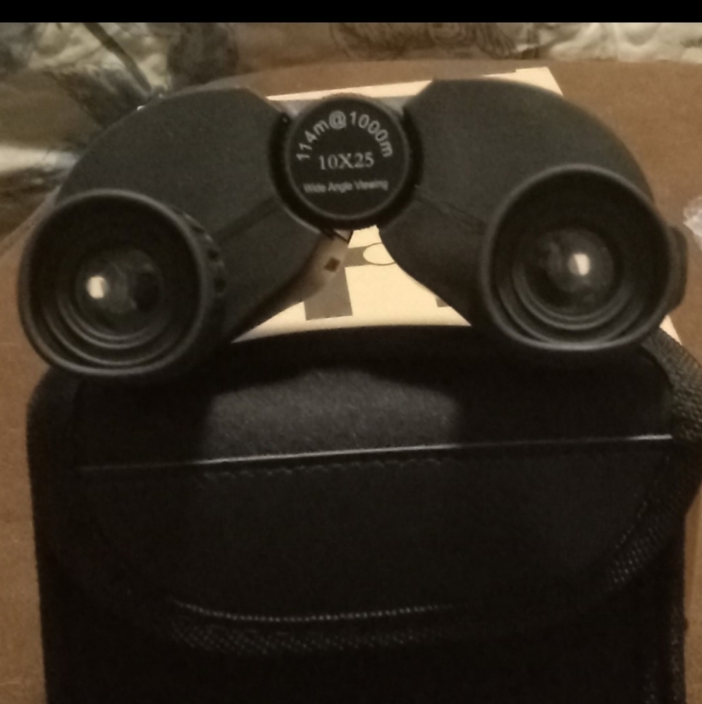 Compact Black Binoculars with Case